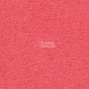 Ковролин Radici Nexus Geranio 8278 фото 1 | FLOORDEALER